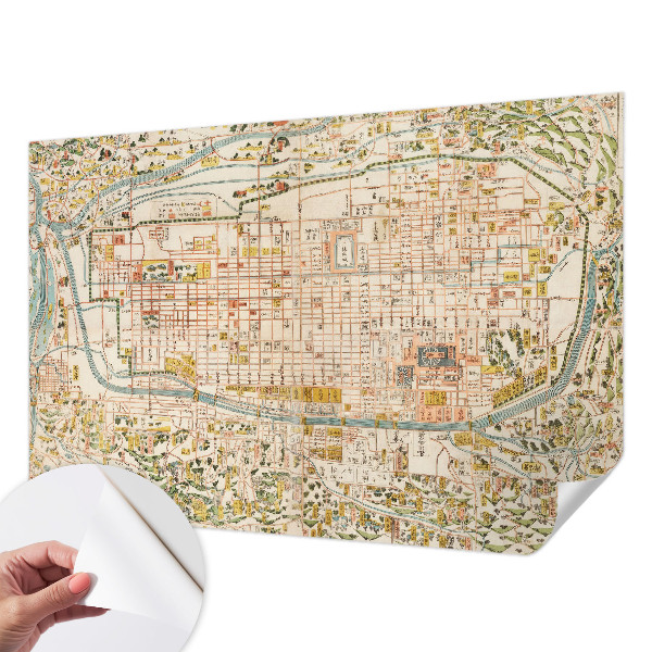 Autocolante de parede fotográfico com estampa de mapa antigo