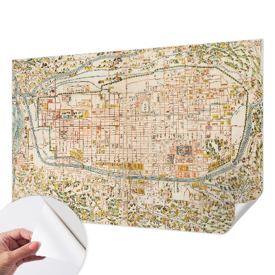 Autocolante de parede fotográfico com estampa de mapa antigo