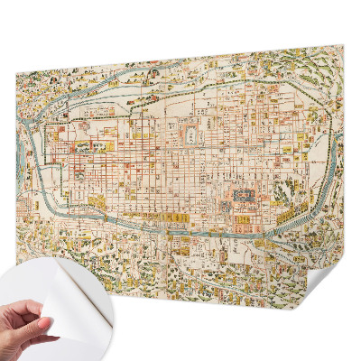 Autocolante de parede fotográfico com estampa de mapa antigo