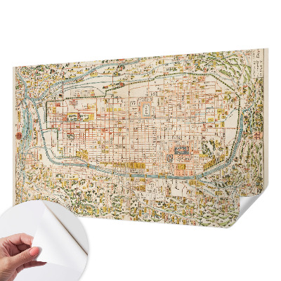 Autocolante de parede fotográfico com estampa de mapa antigo