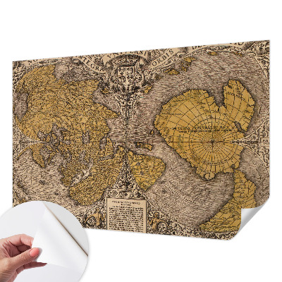 Papel de parede para criança com estampa de cartografia histórica