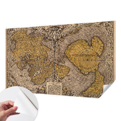 Papel de parede para criança com estampa de cartografia histórica
