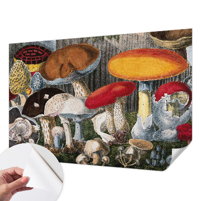 Papel de parede autocolante para sala com cogumelos botânicos