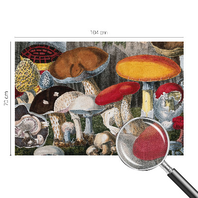 Papel de parede autocolante para sala Cogumelos botânicos