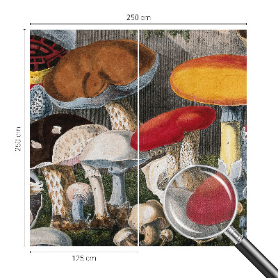 Papel de parede autocolante para sala Cogumelos botânicos