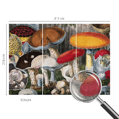 Papel de parede autocolante para sala Cogumelos botânicos