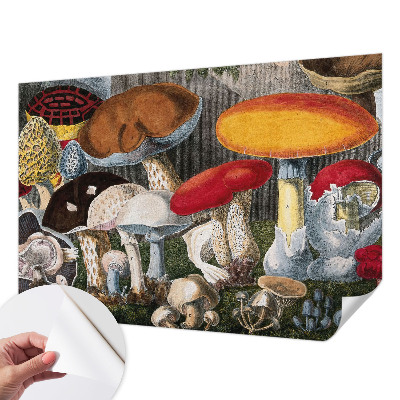 Papel de parede autocolante para sala com cogumelos botânicos