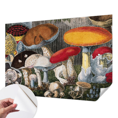 Papel de parede autocolante para sala com cogumelos botânicos