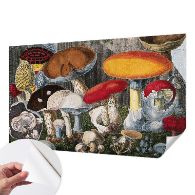 Papel de parede autocolante para sala com cogumelos botânicos