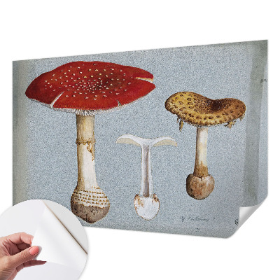 Papel de parede autocolante com gravuras de cogumelos