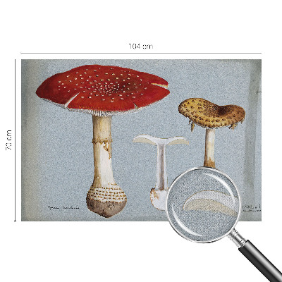 Papel de parede autocolante com gravuras de cogumelos