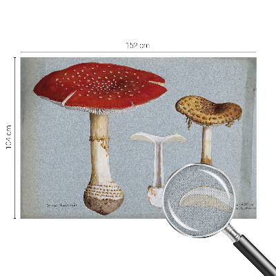 Papel de parede autocolante com gravuras de cogumelos