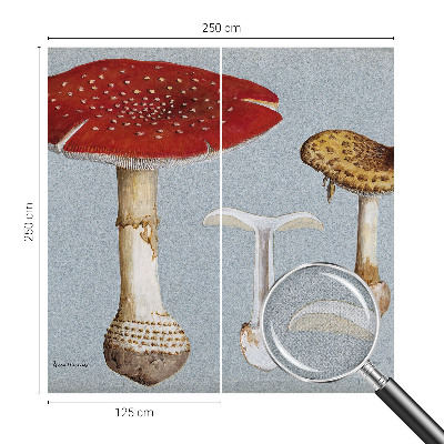 Papel de parede autocolante com gravuras de cogumelos