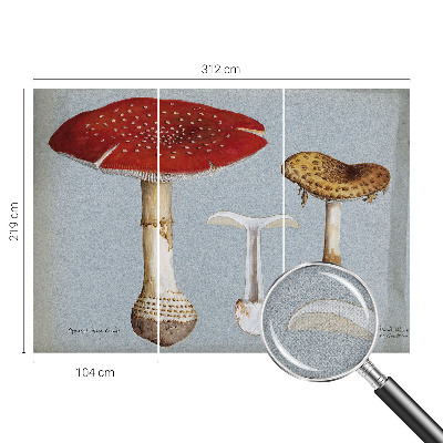 Papel de parede autocolante com gravuras de cogumelos