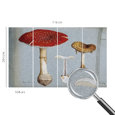 Papel de parede autocolante com gravuras de cogumelos