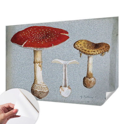 Papel de parede autocolante com gravuras de cogumelos