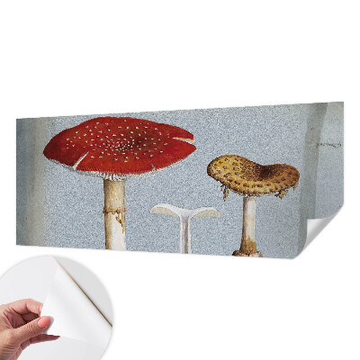 Papel de parede autocolante com gravuras de cogumelos