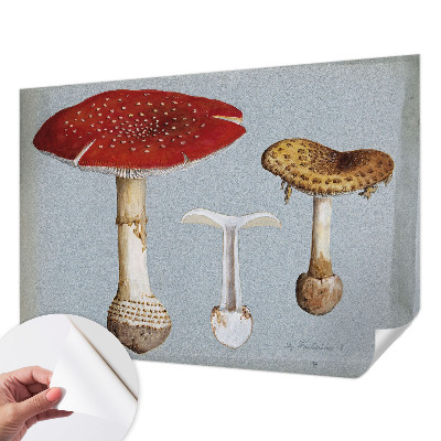 Papel de parede autocolante com gravuras de cogumelos