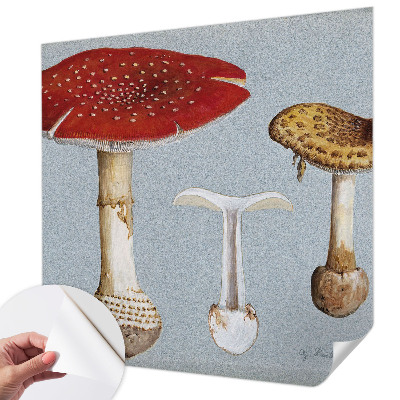 Papel de parede autocolante com gravuras de cogumelos