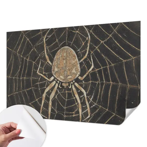 Papel de parede autocolante para quarto com padrão de teia de aranha