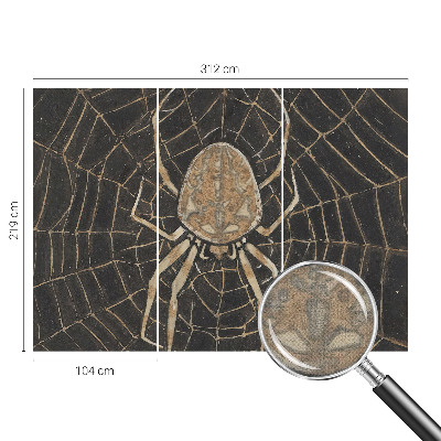 Papel de parede autocolante para quarto Teia de aranha