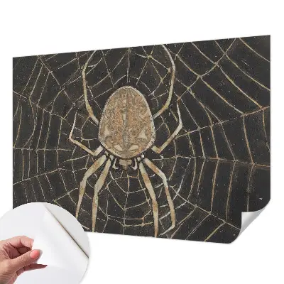 Papel de parede autocolante para quarto com padrão de teia de aranha