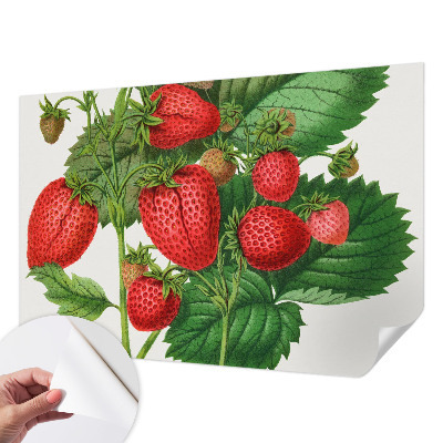 Papel de parede 3D com estampa de frutas de verão