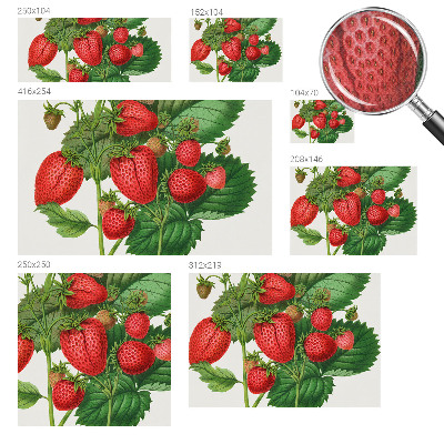 Papel de parede 3D com estampa de frutas de verão