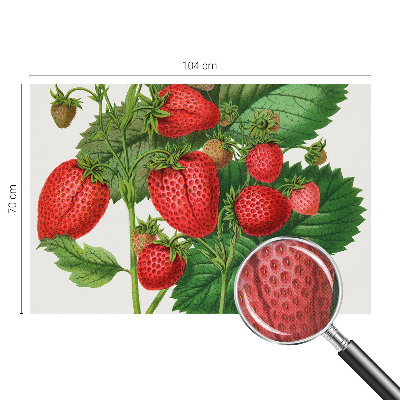 Papel de parede 3D com estampa de frutas de verão