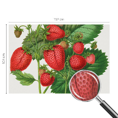 Papel de parede 3D com estampa de frutas de verão