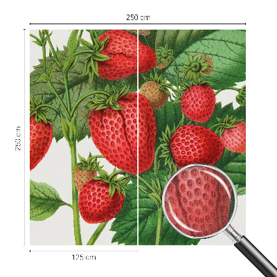 Papel de parede 3D com estampa de frutas de verão
