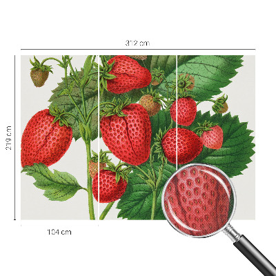 Papel de parede 3D com estampa de frutas de verão
