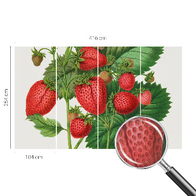 Papel de parede 3D com estampa de frutas de verão