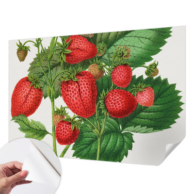 Papel de parede 3D com estampa de frutas de verão