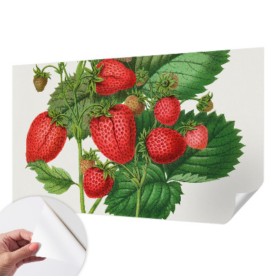 Papel de parede 3D com estampa de frutas de verão