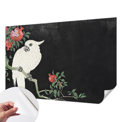 Papel de parede autocolante Papagaio-romã