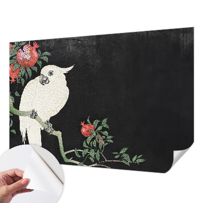Papel de parede autocolante Papagaio-romã