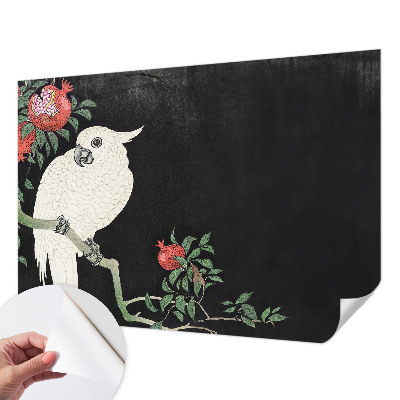 Papel de parede autocolante Papagaio-romã