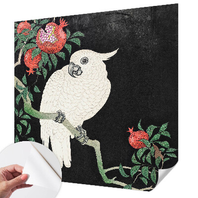 Papel de parede autocolante Papagaio-romã