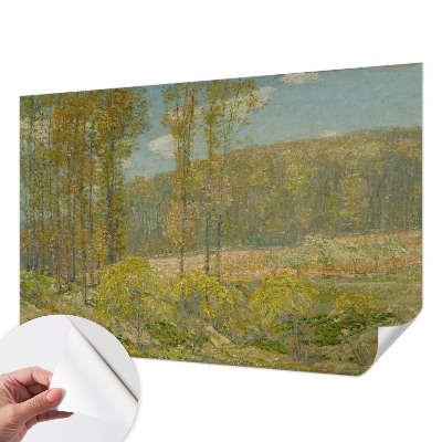 Papel de parede 3D com paisagem florestal