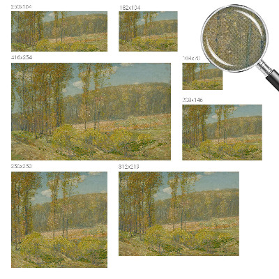 Papel de parede 3D Paisagem florestal