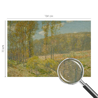 Papel de parede 3D Paisagem florestal