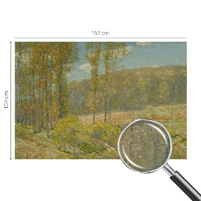 Papel de parede 3D Paisagem florestal