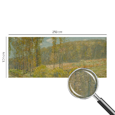 Papel de parede 3D Paisagem florestal