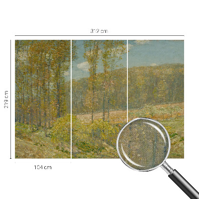 Papel de parede 3D Paisagem florestal