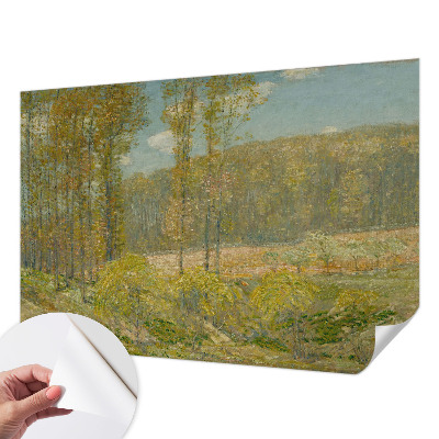 Papel de parede 3D Paisagem florestal