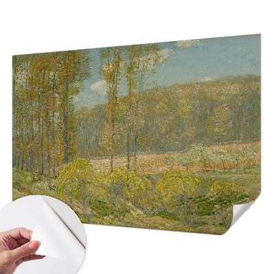Papel de parede 3D Paisagem florestal