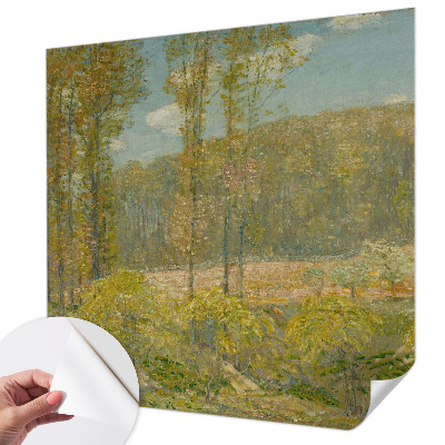 Papel de parede 3D Paisagem florestal