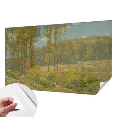 Papel de parede 3D Paisagem florestal