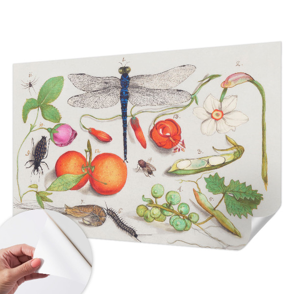 Autocolante de parede fotográfico Ilustração da natureza